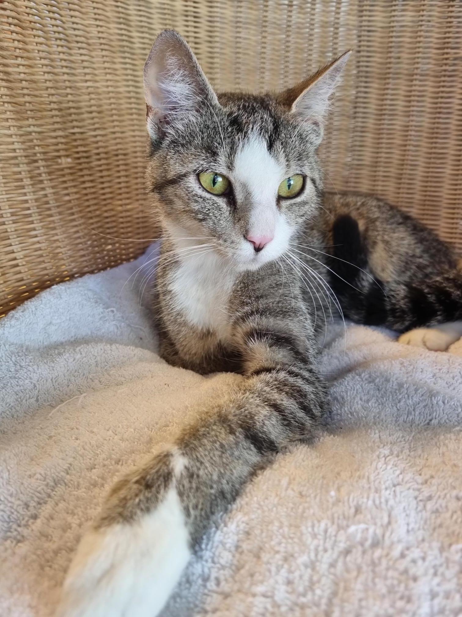 Kati