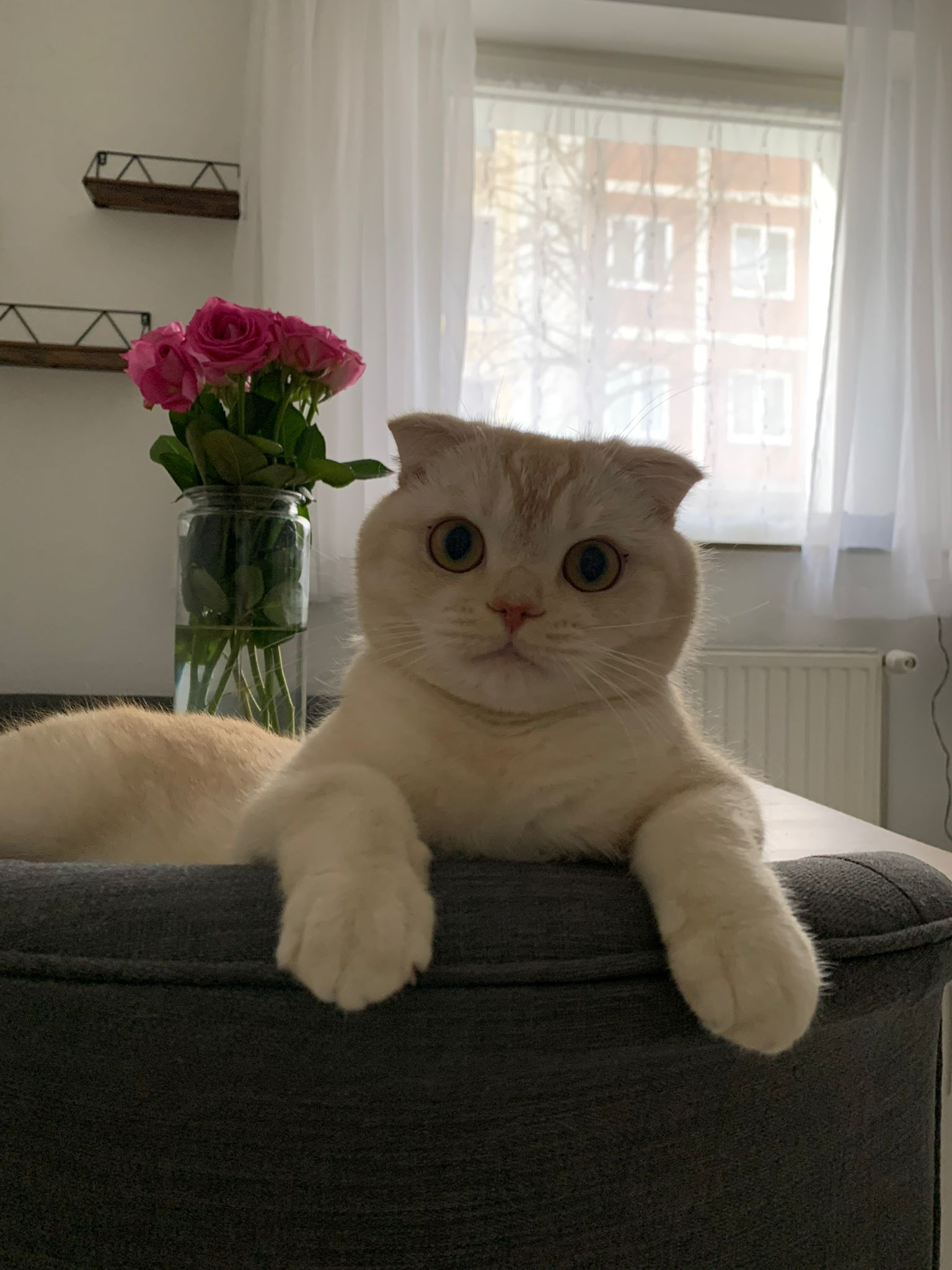 Diego