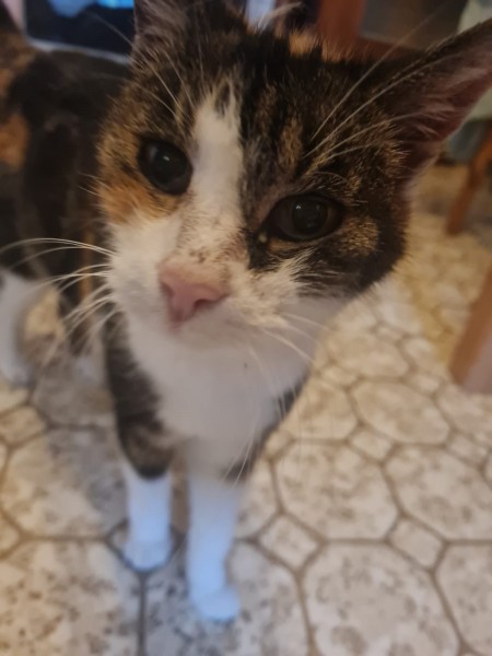 Kati