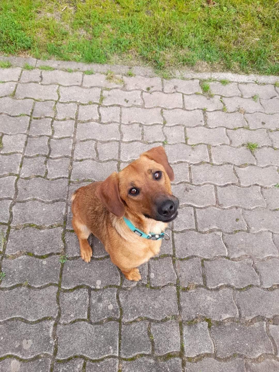 Mimi